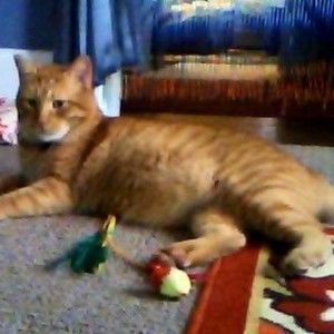 Meet your Posher, Rita